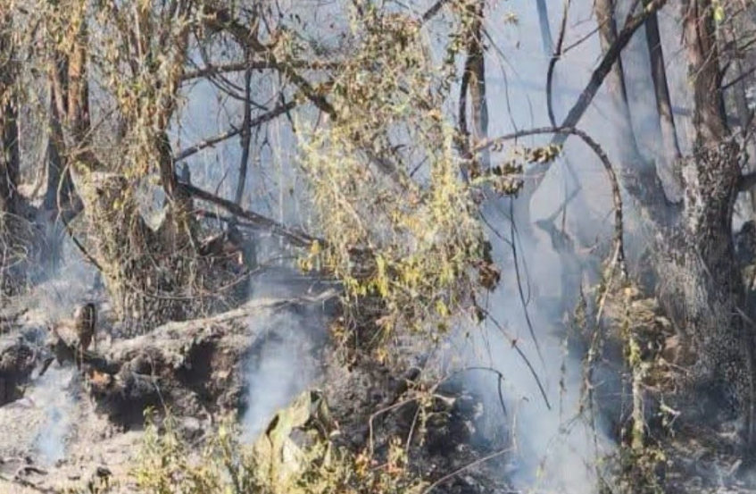 DOCENTE DE EDUCACIÓN INICIAL PIERDE LA VIDA TRAS INCENDIO FORESTAL EN LA COMUNIDAD DE AYAORCCO
